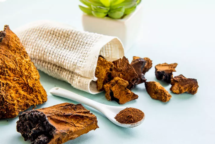 Chaga Mushrooms ryze mushroom matcha ingredients